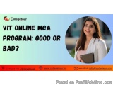 Vit Online Mca Program: Good Or Bad?