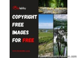 Copyright Free Images for Free