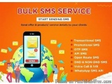SMS Marketing Services in Karnataka Reach More Customers Faster with Recromedia