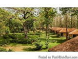 Jungle Resort in Jim Corbett â€“ Natureâ€™s Haven