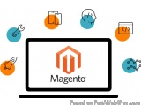 New Vision Digital: Your Reliable Magento Experts In India