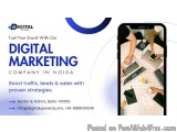 Want to Grow Your Business? Contact Best Digital Marketing Company